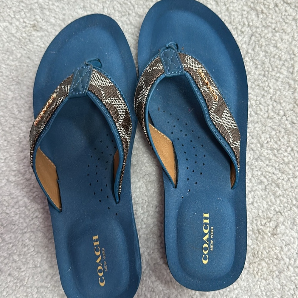 COACH Jolene Platform Flip Flops Pool Blue Size 7
